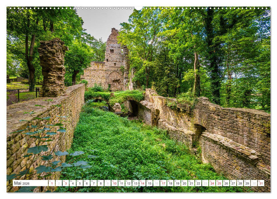 Pfälzer Sehenswürdigkeiten (CALVENDO Wandkalender 2026)