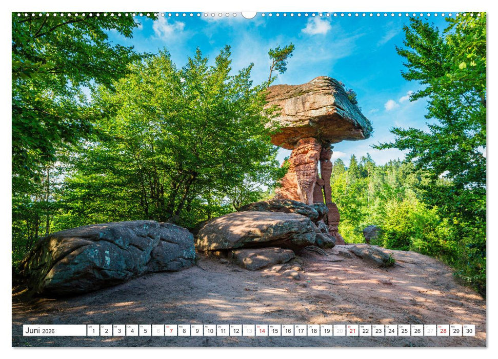 Pfälzer Sehenswürdigkeiten (CALVENDO Wandkalender 2026)