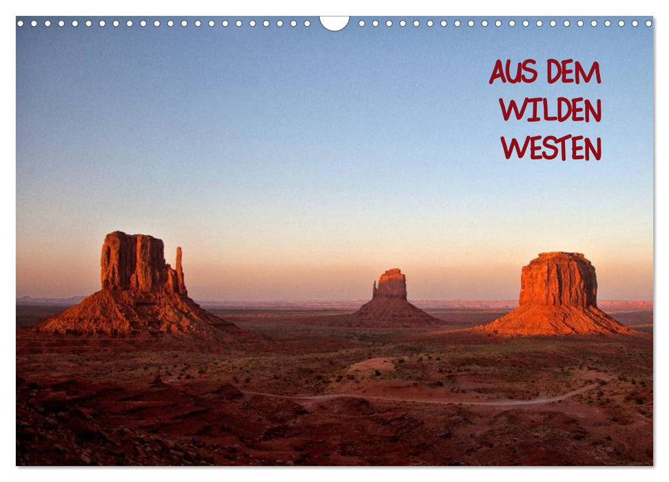 Aus dem wilden Westen (CALVENDO Wandkalender 2026)