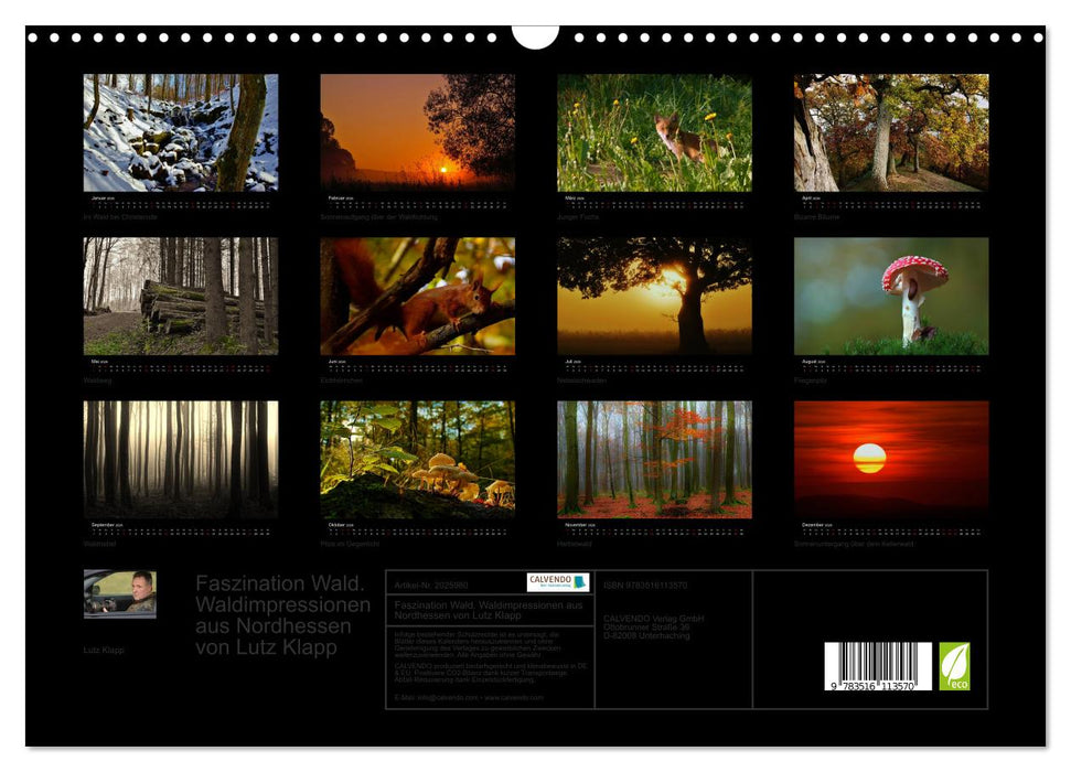 Faszination Wald. Waldimpressionen aus Nordhessen von Lutz Klapp (CALVENDO Wandkalender 2026)