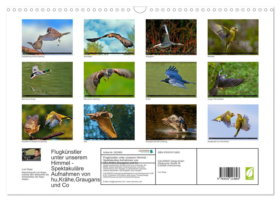 Flugkünstler unter unserem Himmel - Spektakuläre Aufnahmen von Uhu,Krähe,Graugans und Co (CALVENDO Wandkalender 2026)