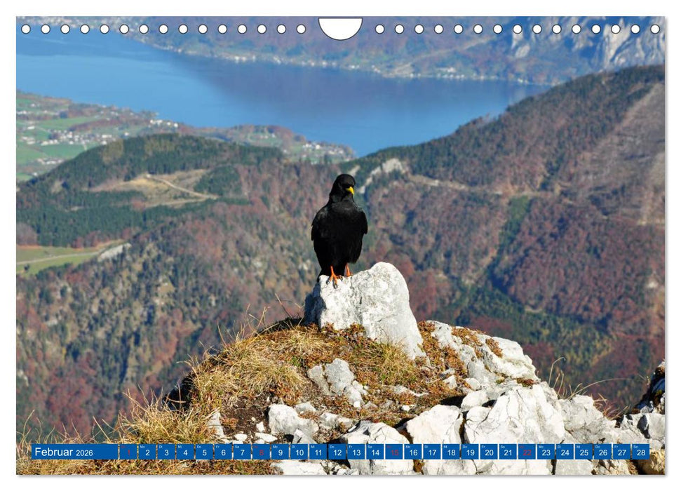 Der Berg und sein See (CALVENDO Wandkalender 2026)