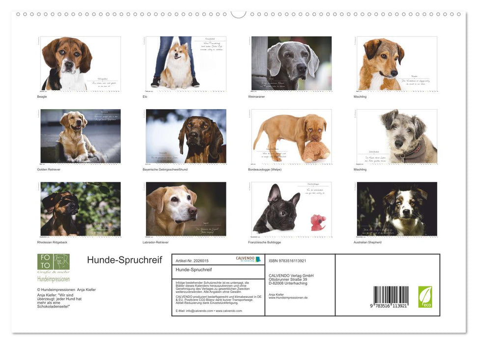 Hunde-Spruchreif (CALVENDO Premium Wandkalender 2026)