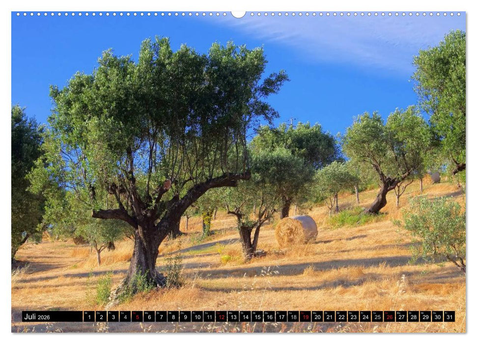 Kalabrien (CALVENDO Premium Wandkalender 2026)