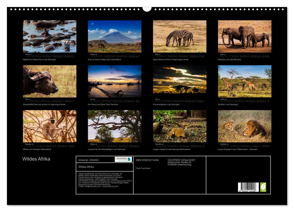 Wildes Afrika (CALVENDO Wandkalender 2026)