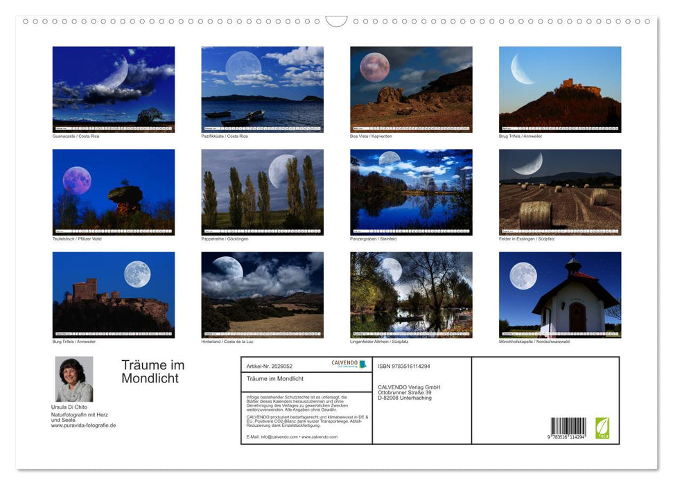 Träume im Mondlicht (CALVENDO Wandkalender 2026)