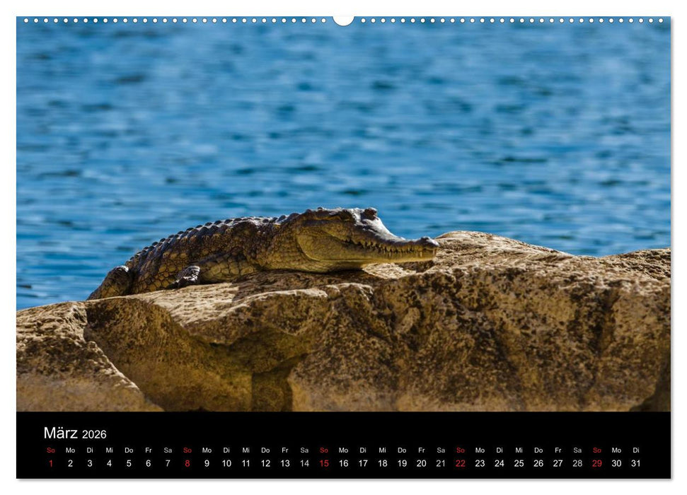 Australien - Kimberley (CALVENDO Premium Wandkalender 2026)
