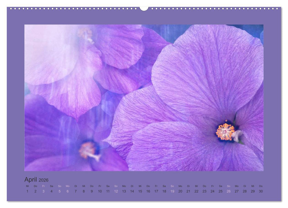 12 Farben (CALVENDO Premium Wandkalender 2026)