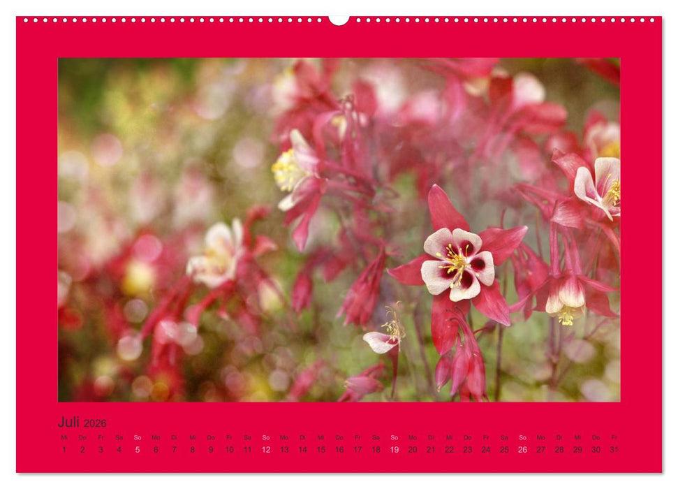 12 Farben (CALVENDO Premium Wandkalender 2026)