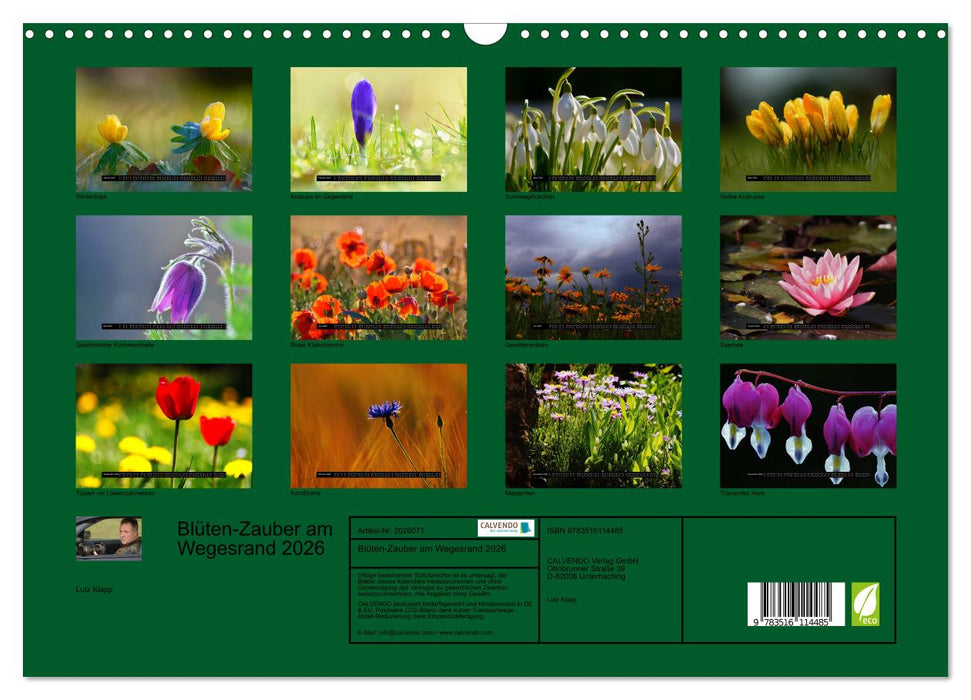 Blüten-Zauber am Wegesrand 2026 (CALVENDO Wandkalender 2026)