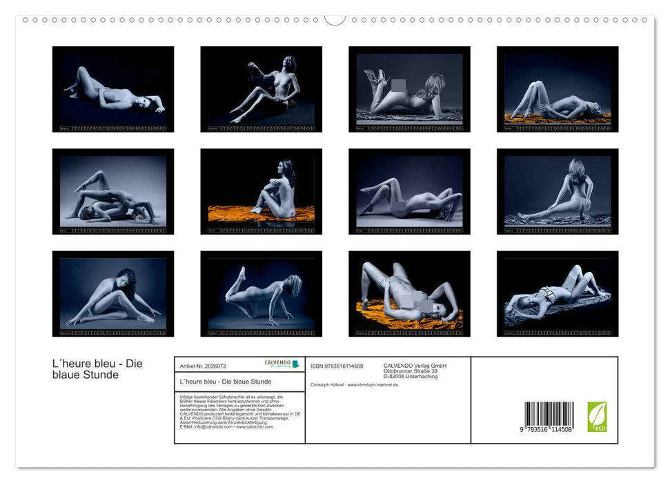 L´heure bleu - Die blaue Stunde (CALVENDO Premium Wandkalender 2026)