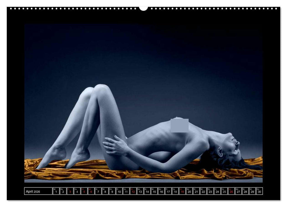 L´heure bleu - Die blaue Stunde (CALVENDO Premium Wandkalender 2026)