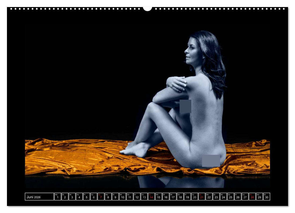 L´heure bleu - Die blaue Stunde (CALVENDO Premium Wandkalender 2026)