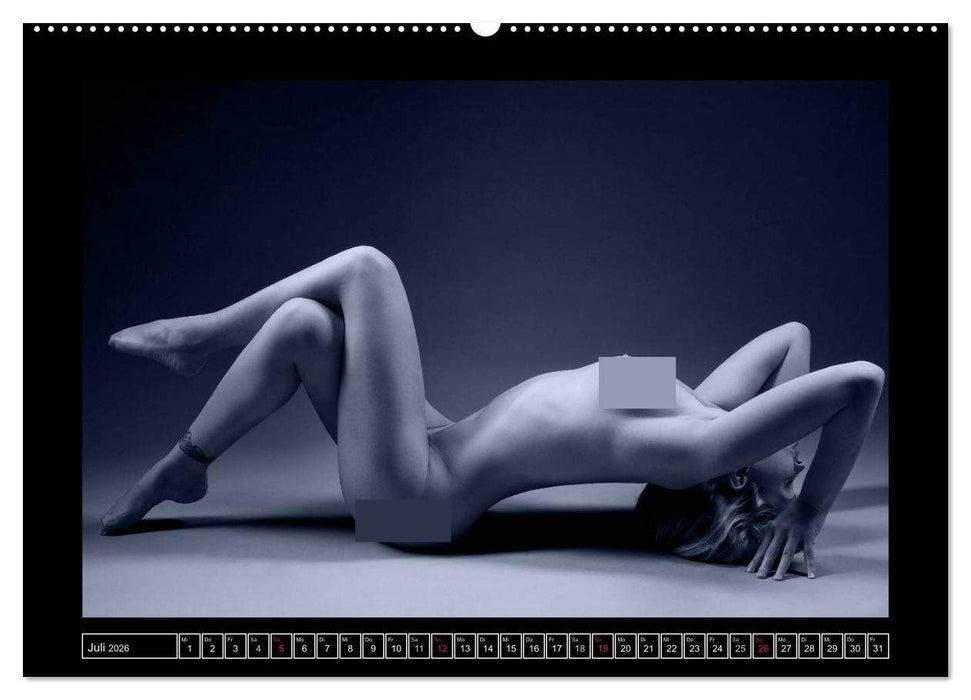 L´heure bleu - Die blaue Stunde (CALVENDO Premium Wandkalender 2026)