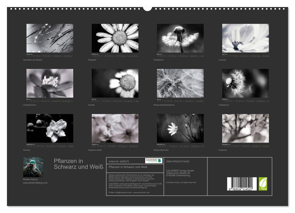 Pflanzen in Schwarz und Weiß (CALVENDO Premium Wandkalender 2026)