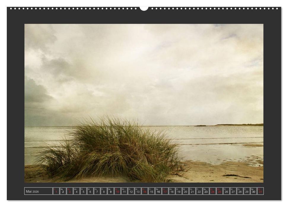 Malerisches Sylt (CALVENDO Premium Wandkalender 2026)