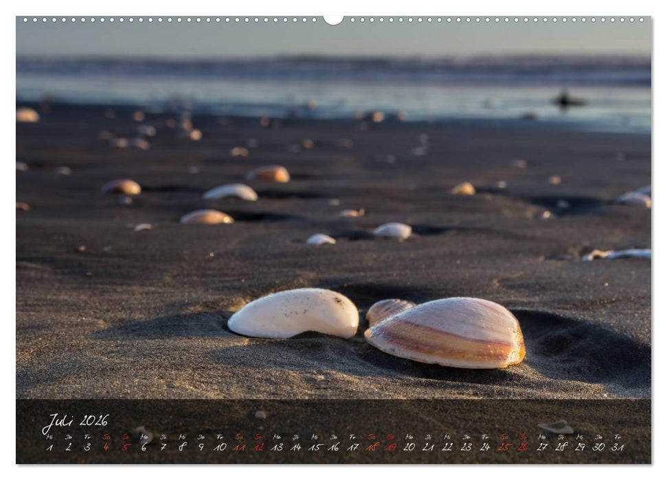 Neuseeland - Land der Maori (CALVENDO Premium Wandkalender 2026)