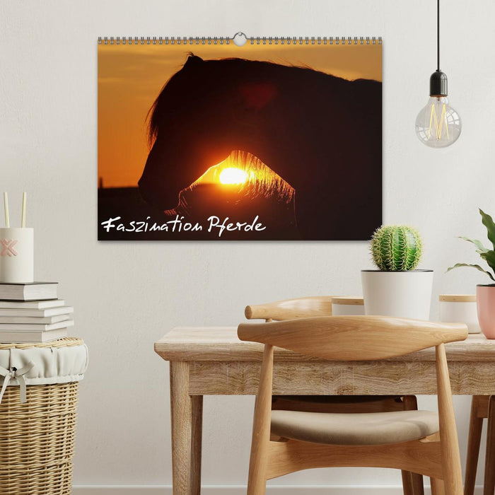 Faszination Pferde (CALVENDO Wandkalender 2026)