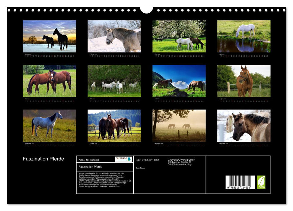 Faszination Pferde (CALVENDO Wandkalender 2026)