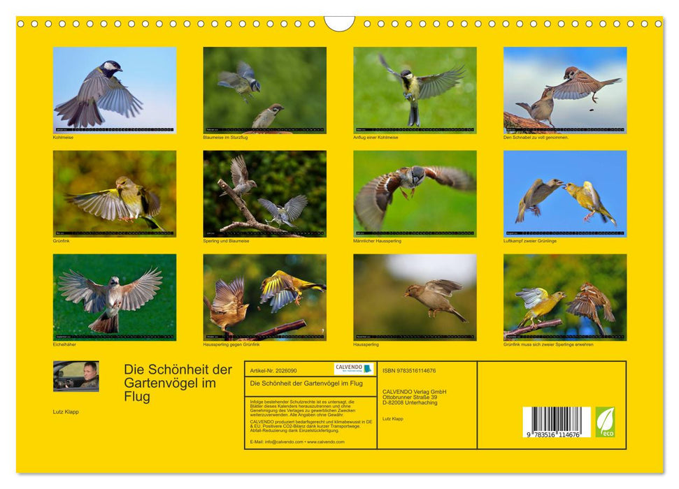 Die Schönheit der Gartenvögel im Flug (CALVENDO Wandkalender 2026)