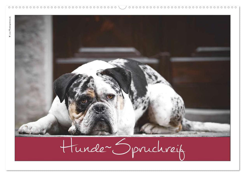 Hunde-Spruchreif (CALVENDO Wandkalender 2026)