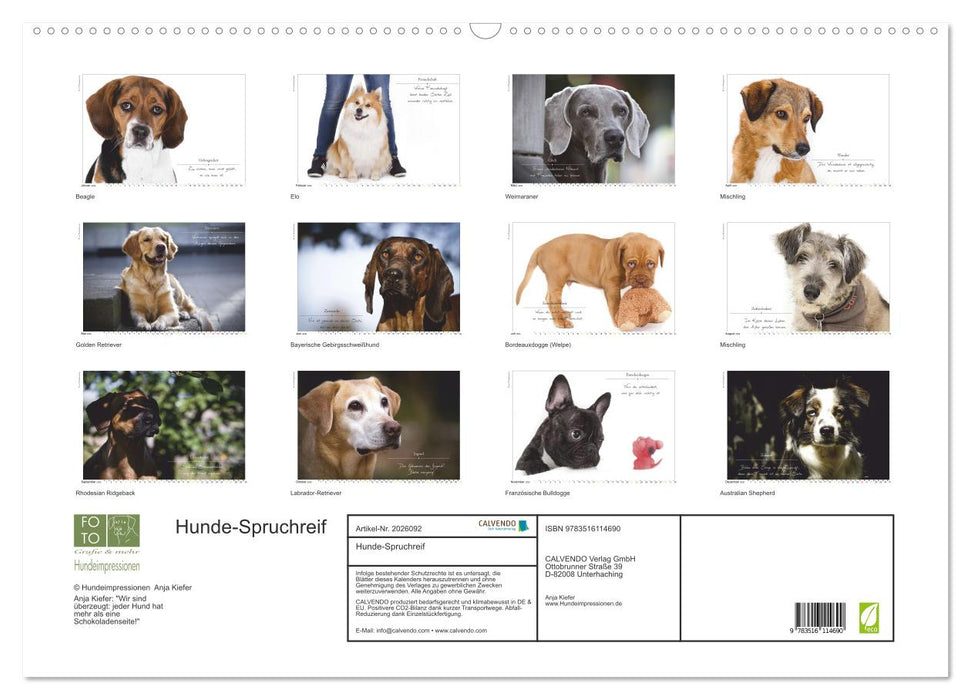Hunde-Spruchreif (CALVENDO Wandkalender 2026)