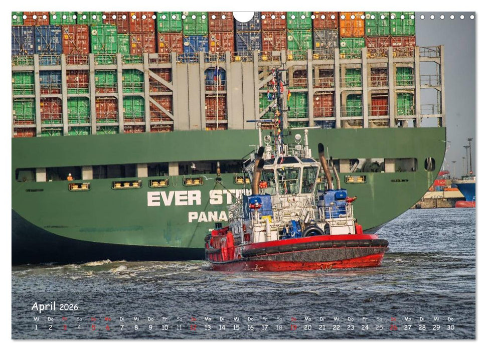 Hafengewusel (CALVENDO Wandkalender 2026)