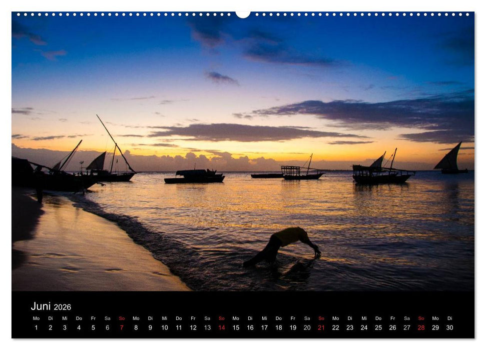 Wildes Afrika (CALVENDO Premium Wandkalender 2026)