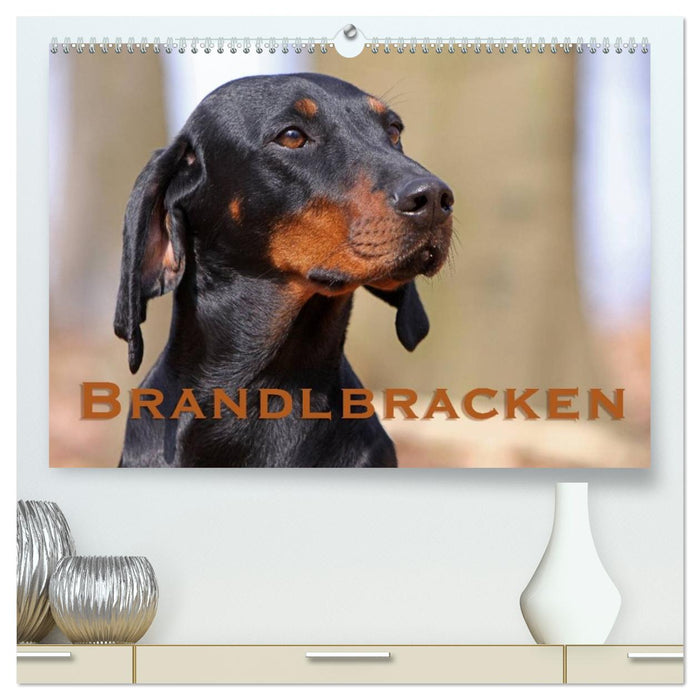 Brandlbracken (CALVENDO Premium Wandkalender 2026)