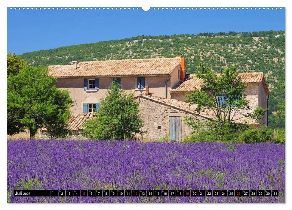 Lavendel (CALVENDO Premium Wandkalender 2026)