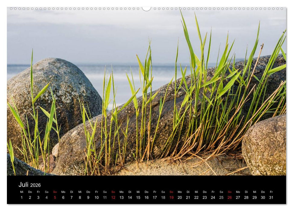 Unterwegs an der Küste der Ostsee (CALVENDO Premium Wandkalender 2026)