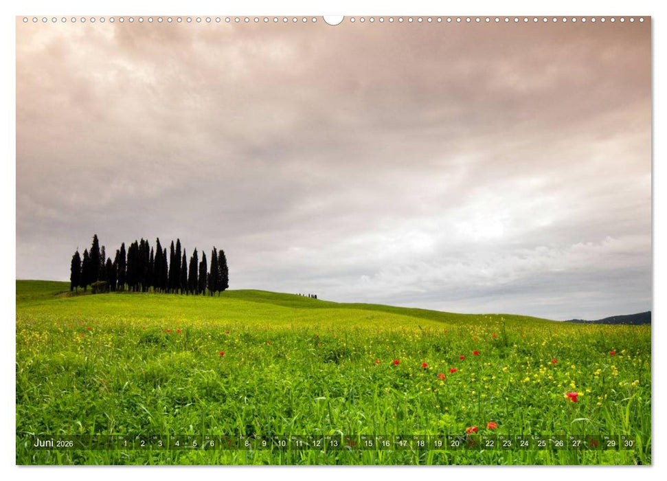 TOSKANA Im Land der Zypressen (CALVENDO Premium Wandkalender 2026)