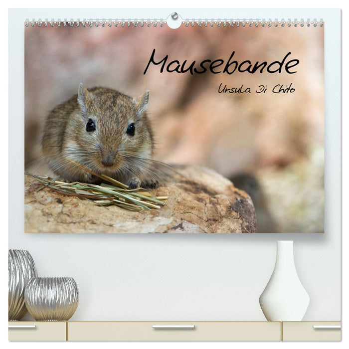 Mausebande (CALVENDO Premium Wandkalender 2026)
