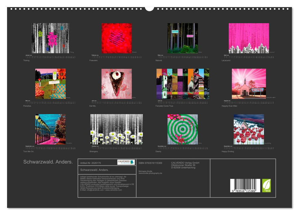 Schwarzwald. Anders. (CALVENDO Premium Wandkalender 2026)