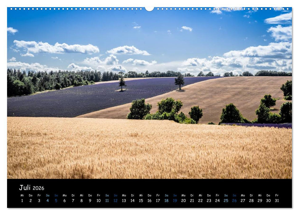 Provence - Lavendelblüte (CALVENDO Premium Wandkalender 2026)