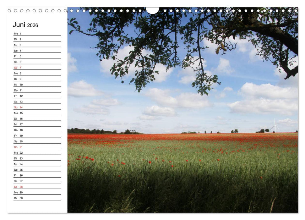 Hannover erleben (CALVENDO Wandkalender 2026)