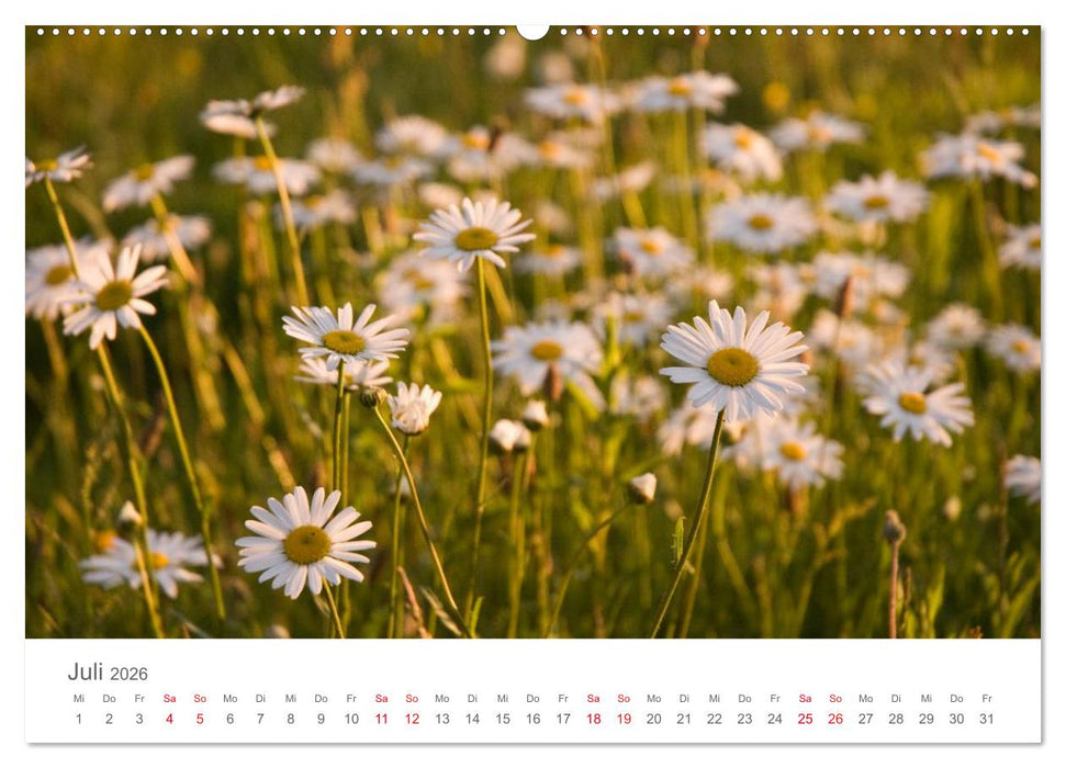 Nordisch gut - Schweden (CALVENDO Premium Wandkalender 2026)