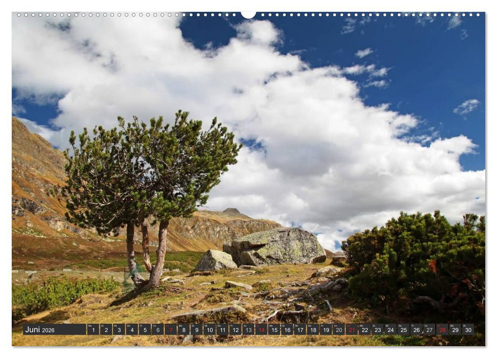 Vorarlberg in Österreich (CALVENDO Premium Wandkalender 2026)