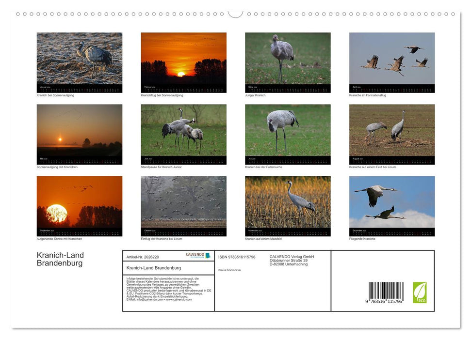 Kranich-Land Brandenburg (CALVENDO Premium Wandkalender 2026)