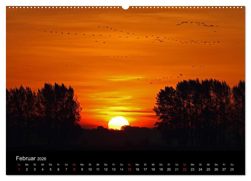 Kranich-Land Brandenburg (CALVENDO Premium Wandkalender 2026)