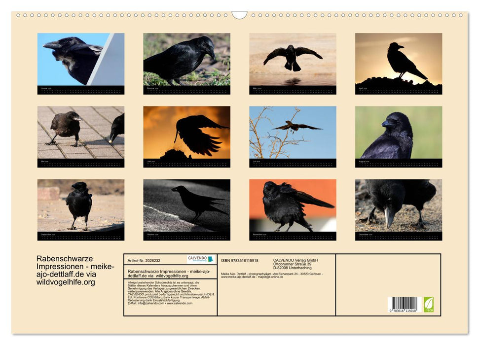 Rabenschwarze Impressionen - meike-ajo-dettlaff.de via wildvogelhlfe.org (CALVENDO Wandkalender 2026)
