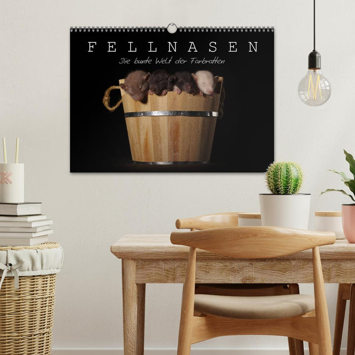 Fellnasen. Die bunte Welt der Farbratten. (CALVENDO Wandkalender 2026)