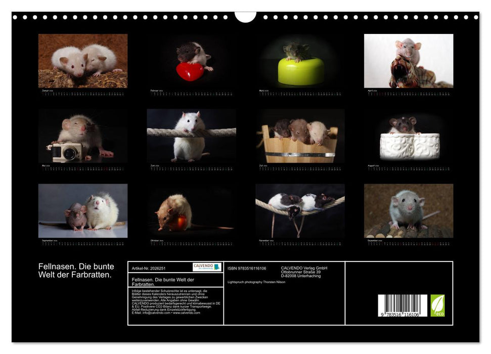 Fellnasen. Die bunte Welt der Farbratten. (CALVENDO Wandkalender 2026)