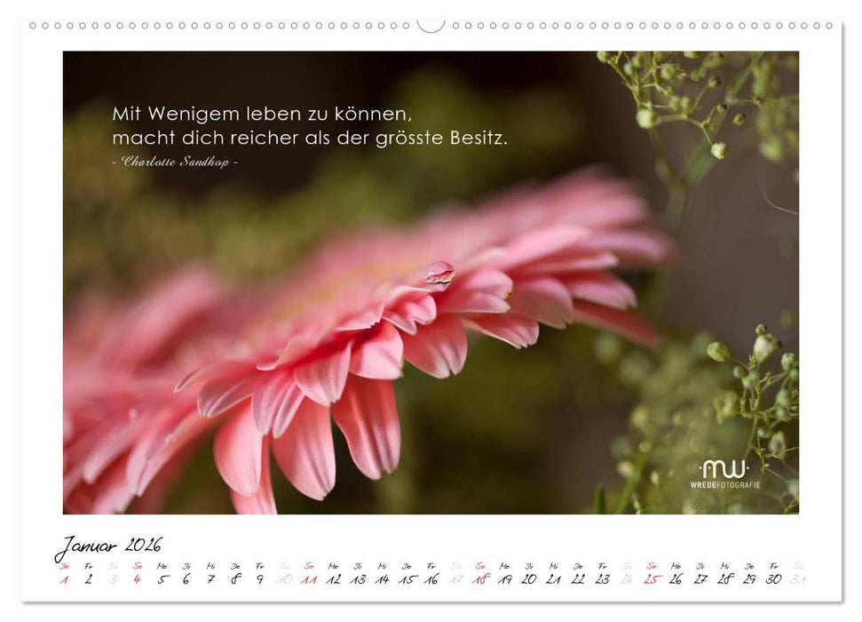 Gedanken... Bildkalender mit Sprüchen (CALVENDO Premium Wandkalender 2026)