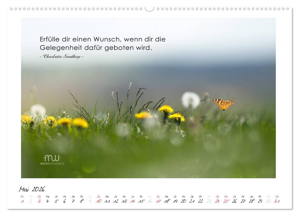 Gedanken... Bildkalender mit Sprüchen (CALVENDO Premium Wandkalender 2026)