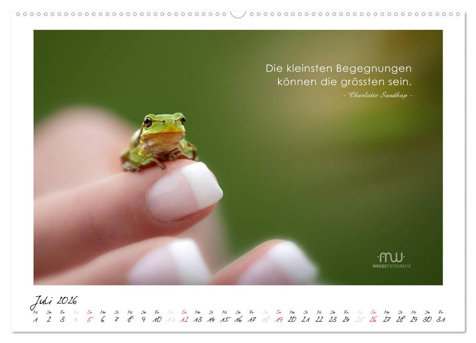 Gedanken... Bildkalender mit Sprüchen (CALVENDO Premium Wandkalender 2026)