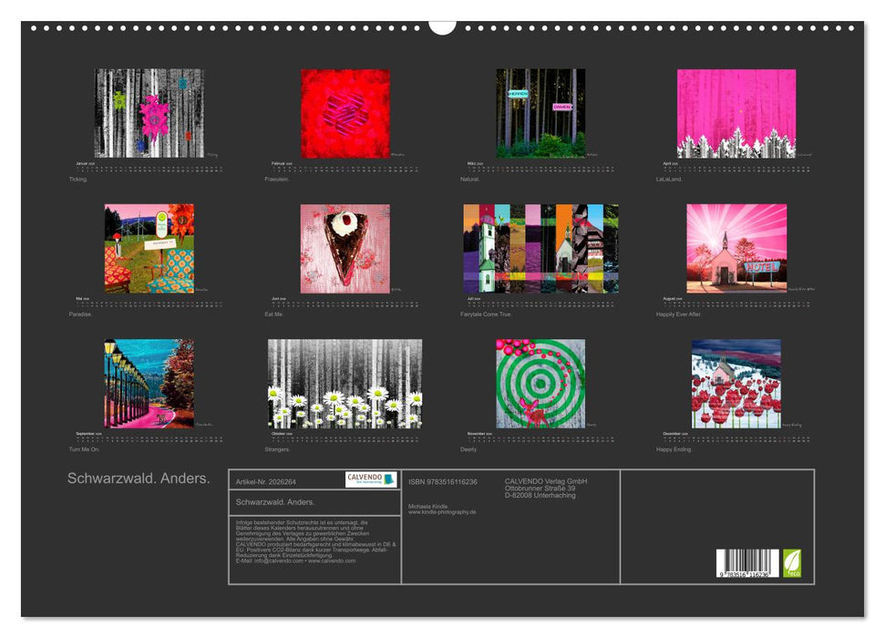 Schwarzwald. Anders. (CALVENDO Wandkalender 2026)