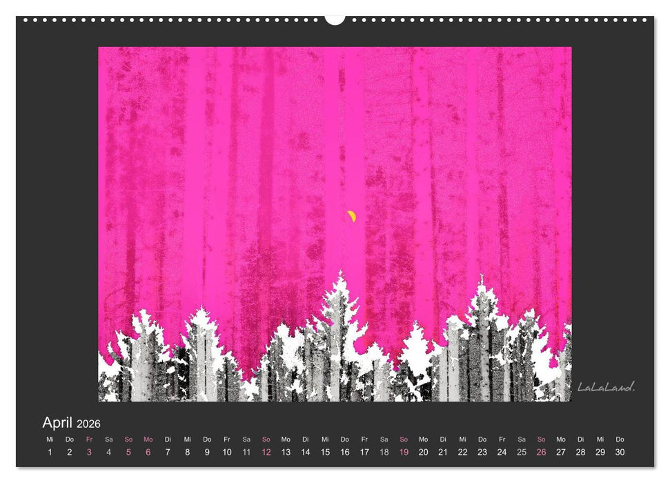 Schwarzwald. Anders. (CALVENDO Wandkalender 2026)