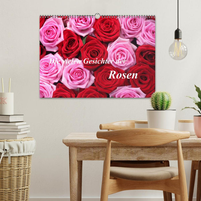 Die vielen Gesichter der Rosen (CALVENDO Wandkalender 2026)