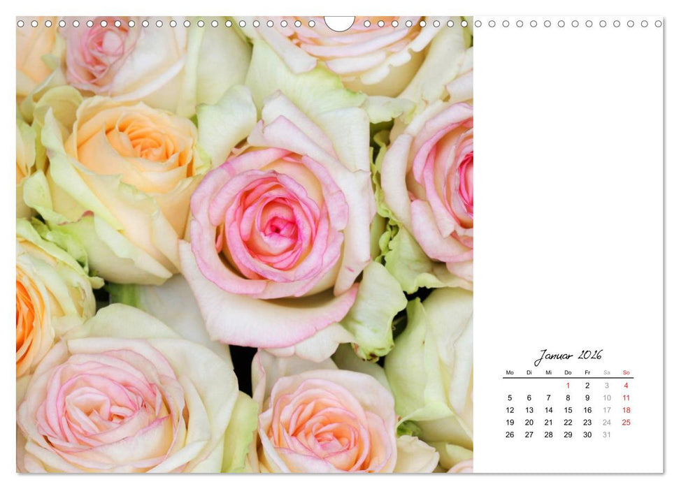 Die vielen Gesichter der Rosen (CALVENDO Wandkalender 2026)